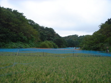 d337b8a2.jpg