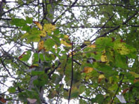 d5d974d7.jpg