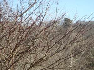 d6c54975.jpg