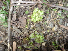 df6378d4.jpg