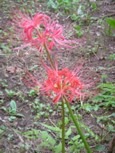 df907885.jpg