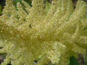 DSC00270