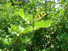 e70076c5.jpg