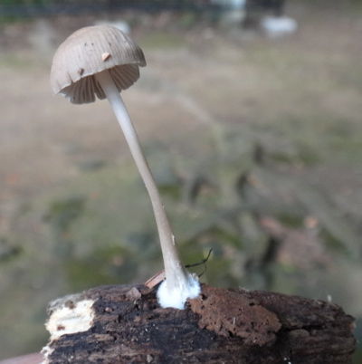 DSC02108
