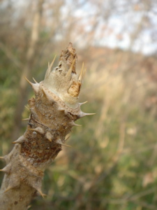 e858885c.jpg