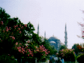 f09591db.gif
