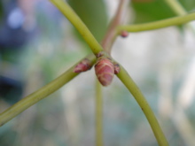 f0edb850.jpg