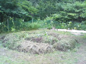 f635e012.jpg