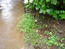 f65138d0.jpg