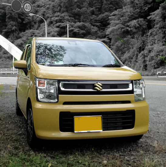 WagonR-FX01s