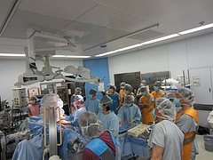 Sports Medicine Surgery : スポーツ医学の手術テクニック Sports Medicine Surgery : スポーツ医学の手術テクニック