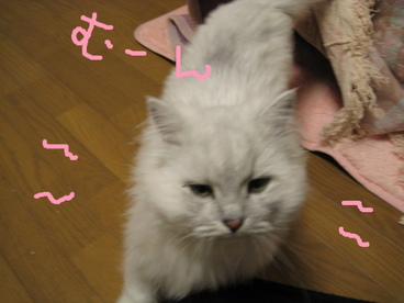 BlogPaint
