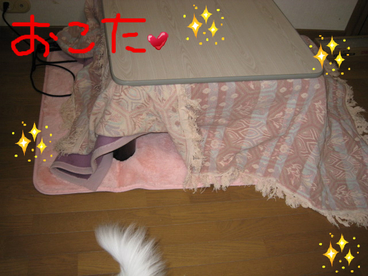 BlogPaint