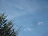 5534614d.JPG
