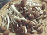 c71609d5.jpg