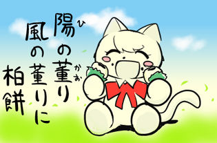 jpg