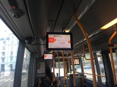 bus