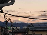 IMG_8707