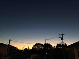 IMG_0267