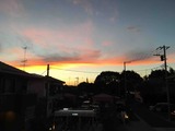 IMG_5425