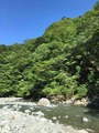 IMG_0648