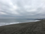 IMG_0649