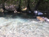 IMG_0657