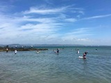 IMG_5205