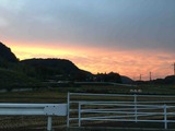 IMG_6825