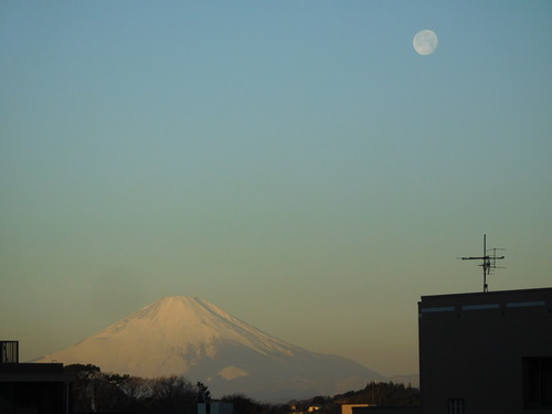 DSCN3391