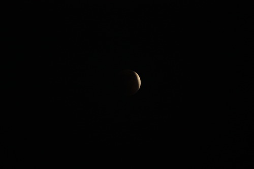 IMG_5696