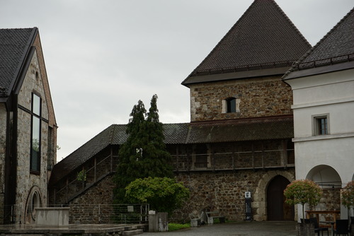 DSC00831