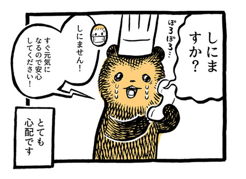 miya_180204koguma101