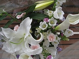 s-IMG_2674