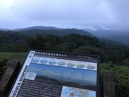 IMG_1117