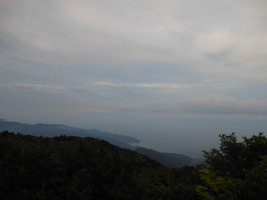 DSCN7849