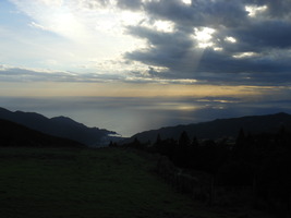 DSCN9187