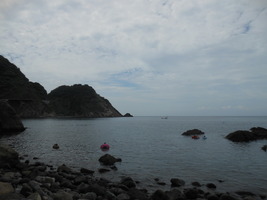 DSCN7841