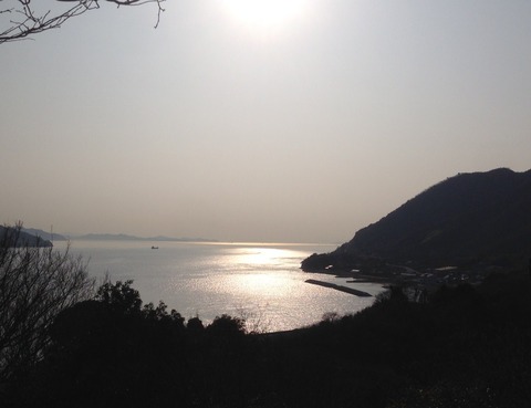 写真(3)