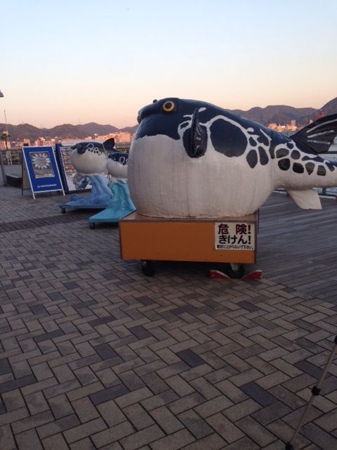 写真(8)