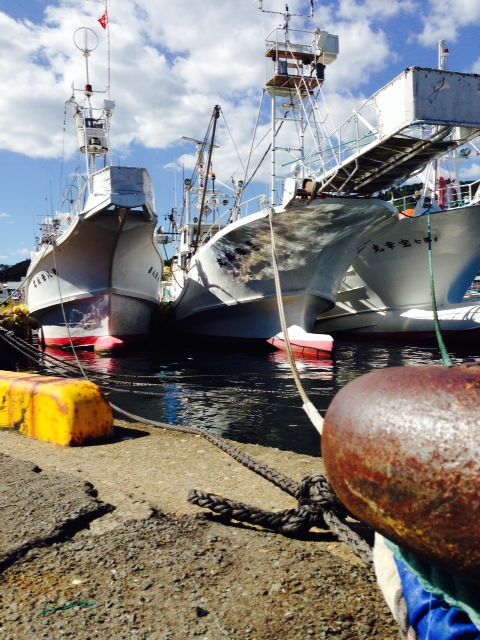 写真(1)
