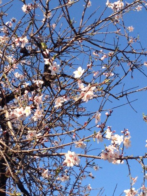 写真(8)