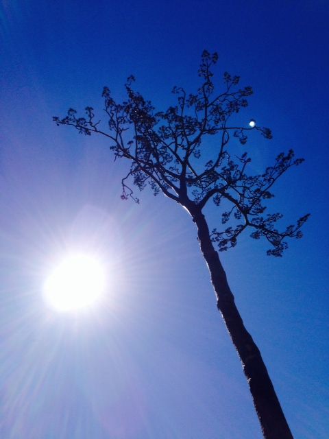 写真(3)