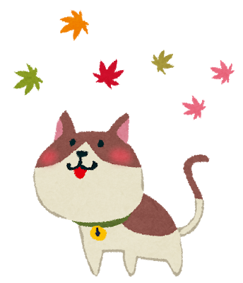 kouyou_cat (1)