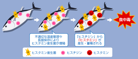 histamine01