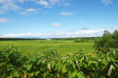 photo0000-2508