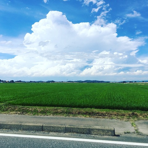 S__36446222