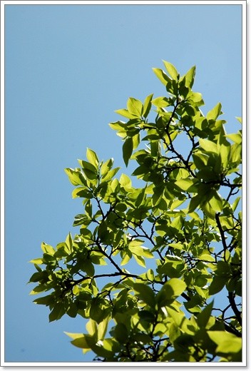 souther_20110429f