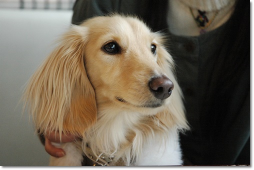 souther_20100209g