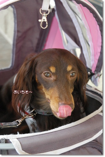 souther_20100819c